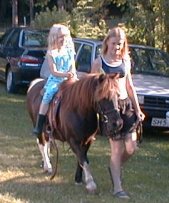 Ponyridning