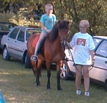 Ponyridning