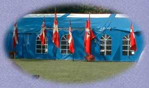 DCU kreds flag