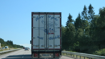 29.JPG